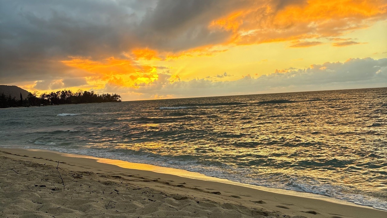 Photo of Others in McCully - Moiliili