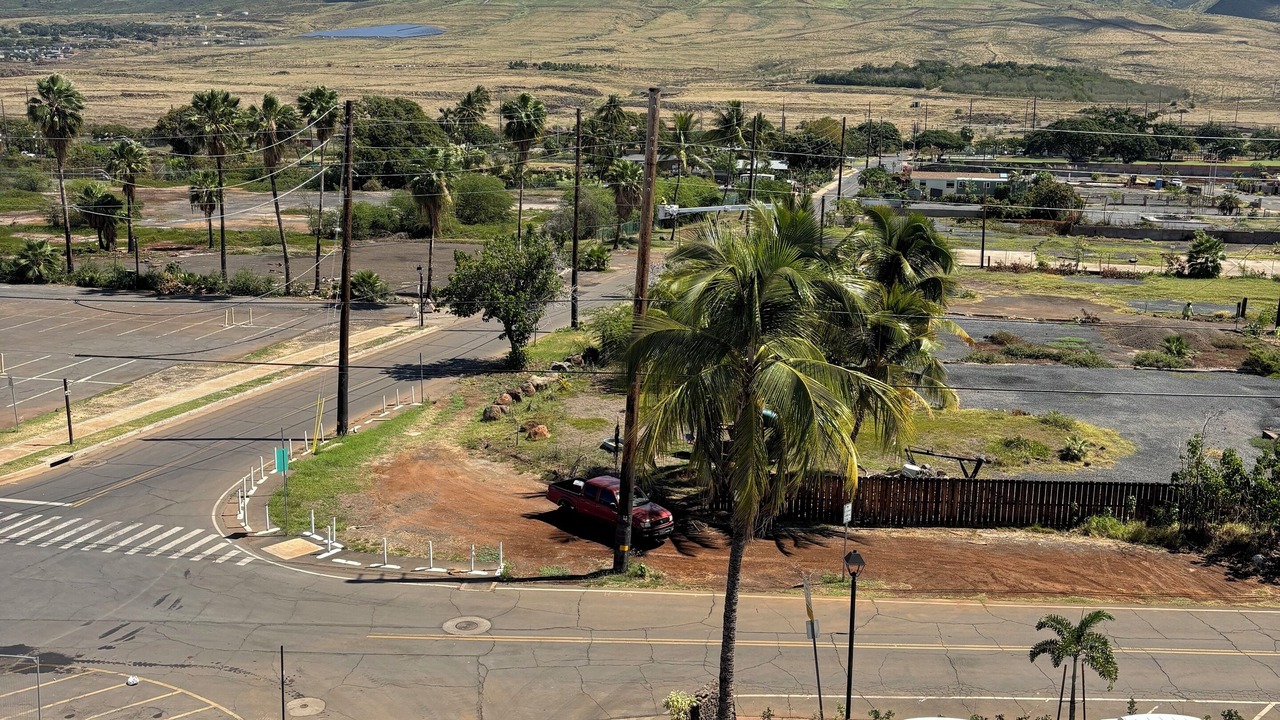 Photo of Others in Historic Lahaina Front Street