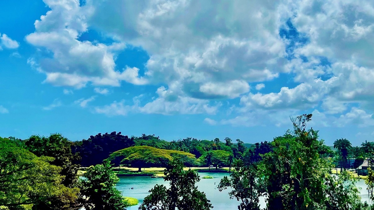 Photo of Others in Hilo