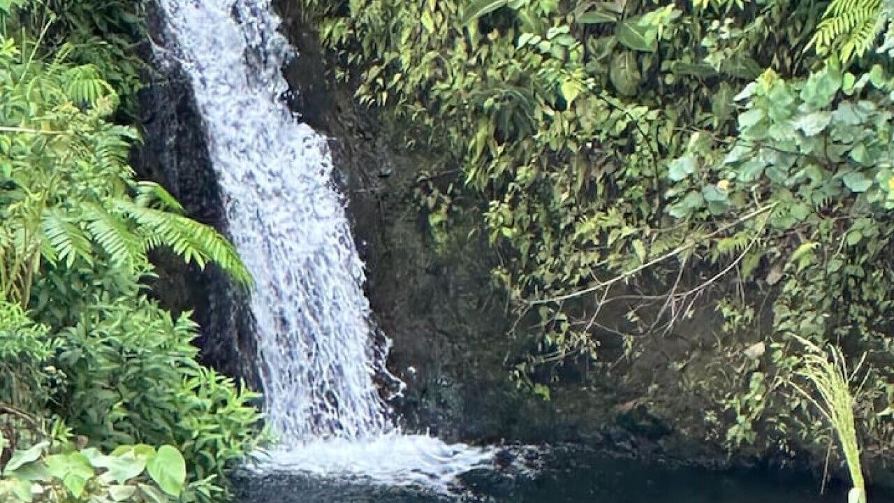 Photo of Others in Paukaa