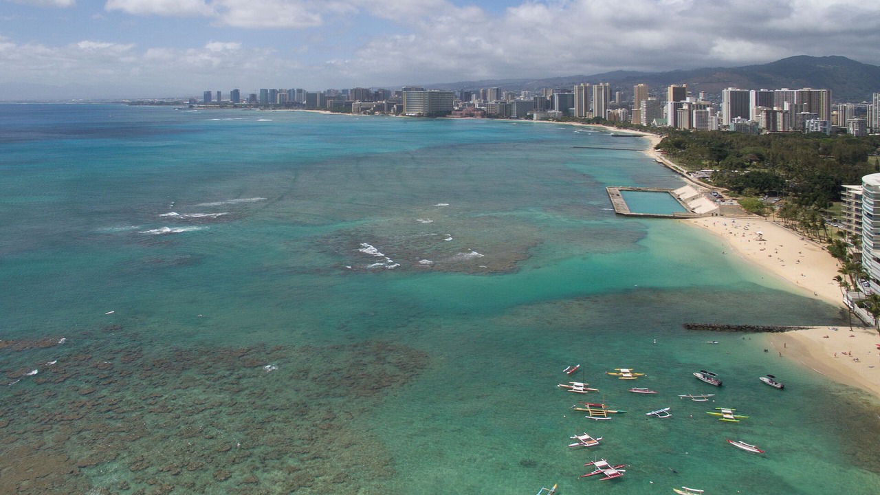 Photo of Others in Honolulu