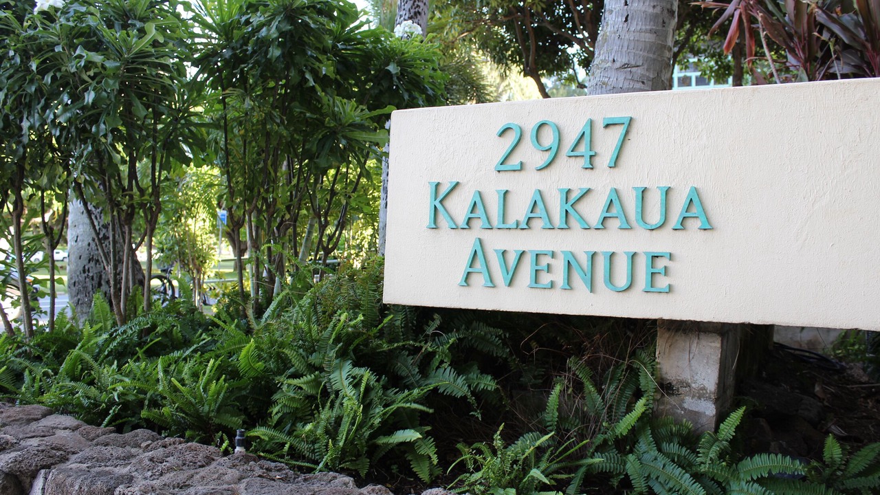 Photo of Outdoor in Honolulu