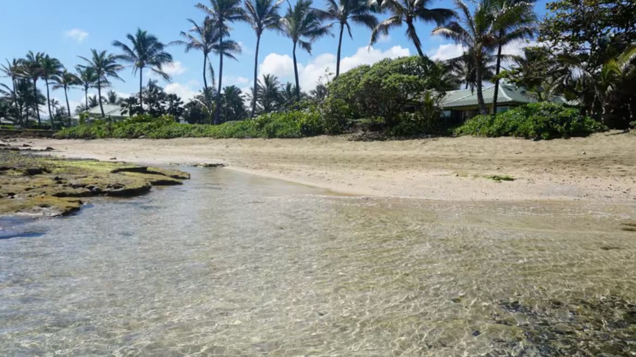 Photo of Others in Laie