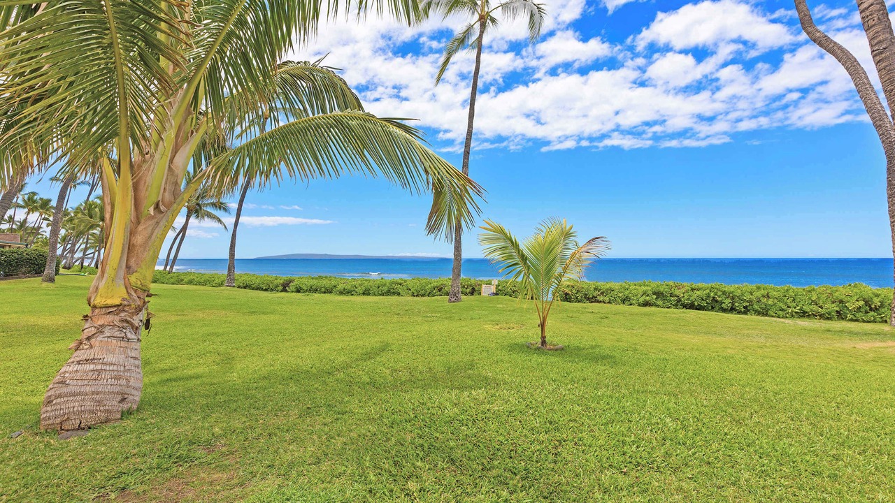 Photo of Outdoor in Historic Lahaina Front Street