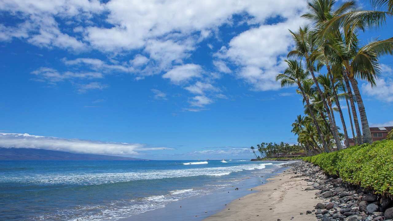 Photo of Others in Historic Lahaina Front Street