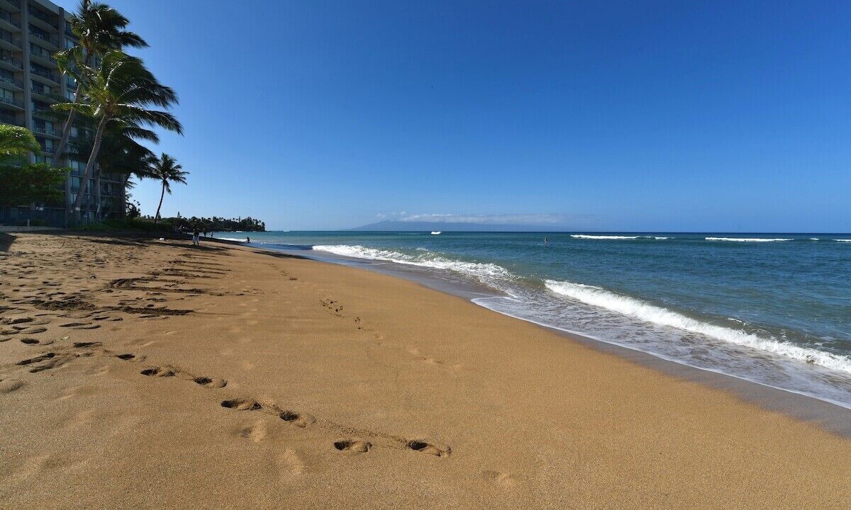Photo of Others in Kahana