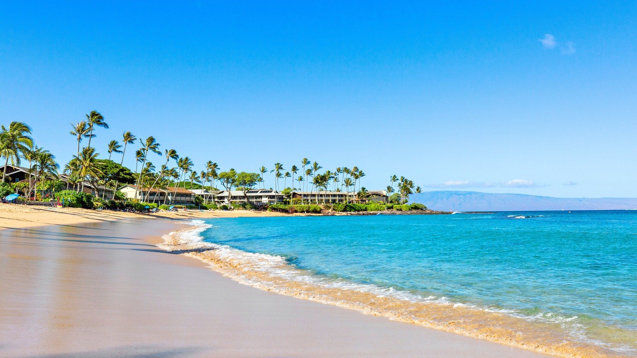 Photo of Others in Napili