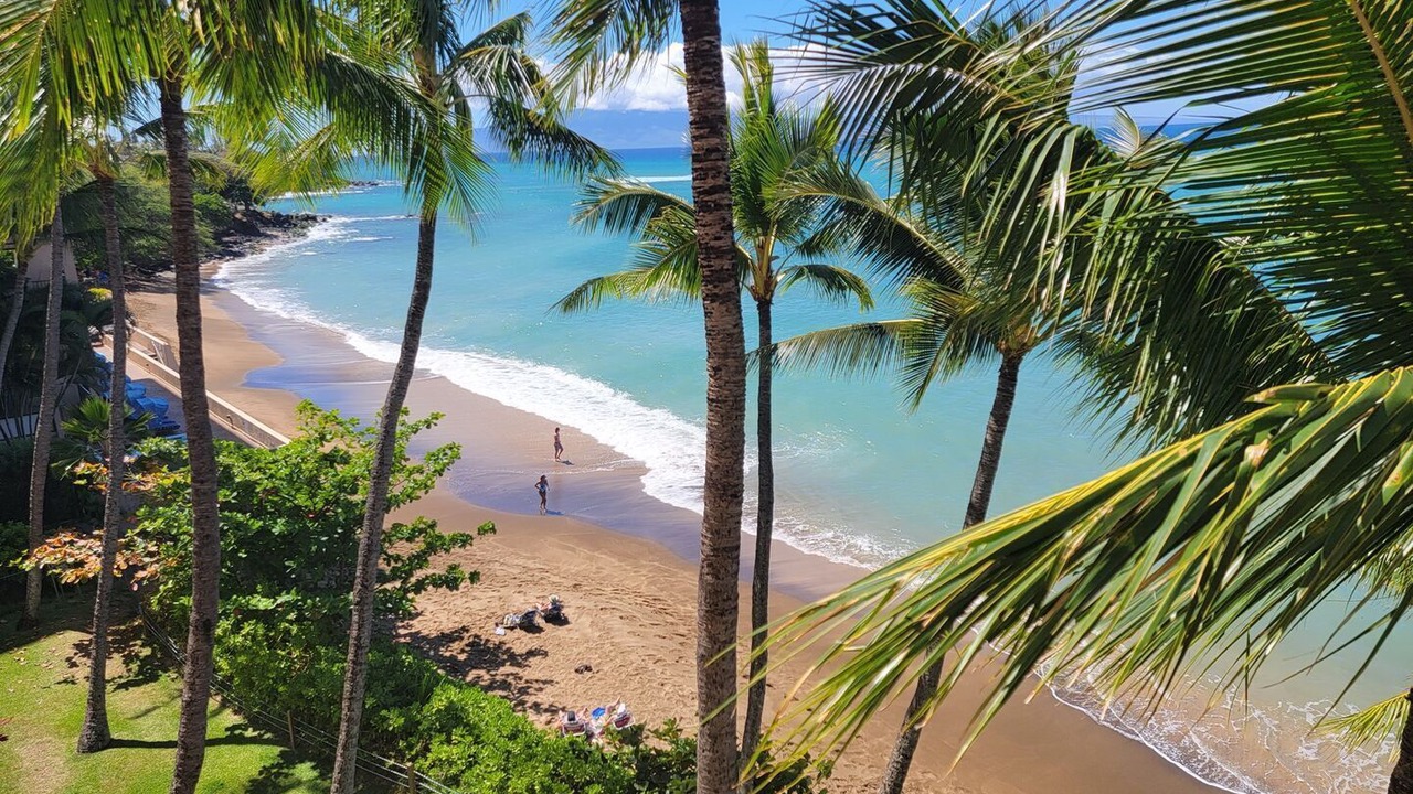 Photo of Others in Kahana