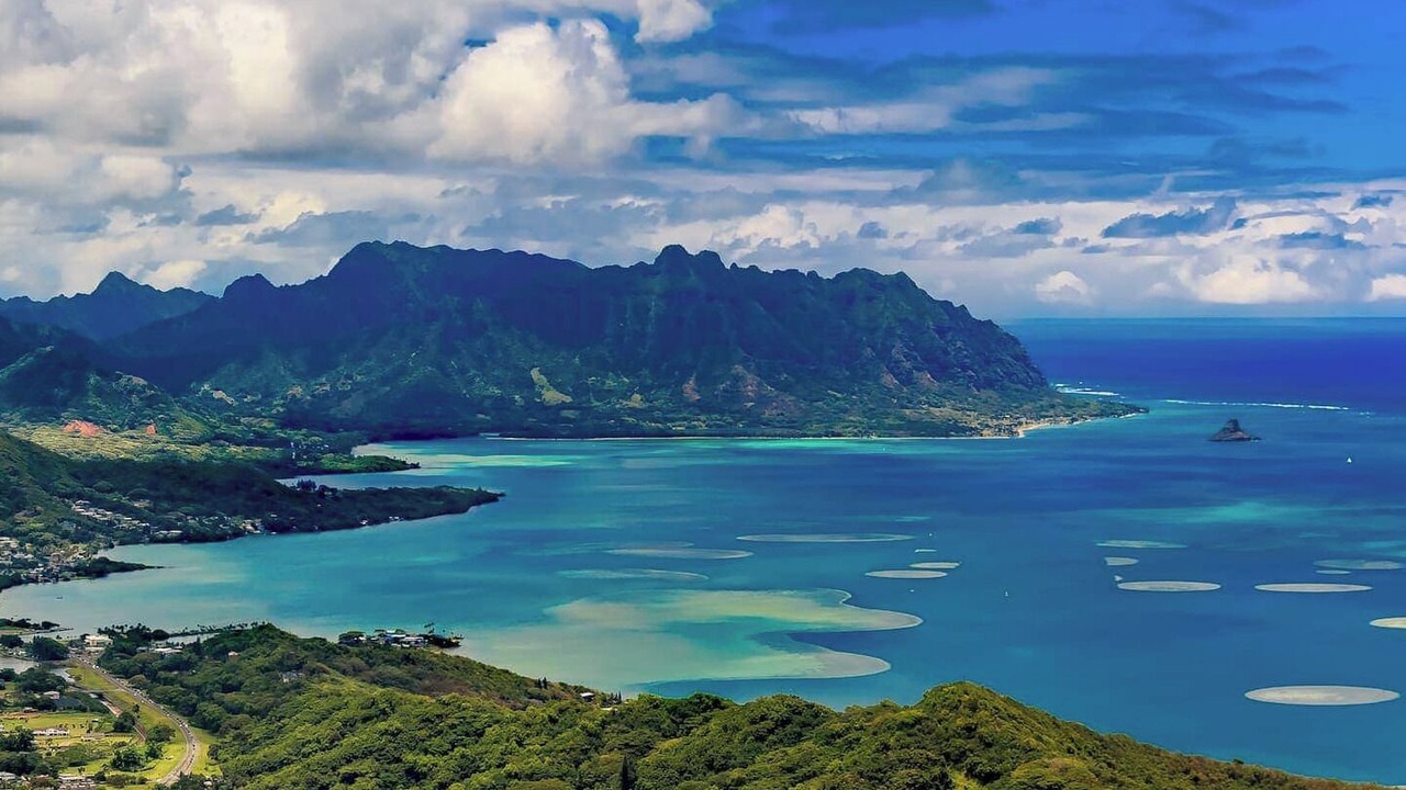 Photo of Others in Kaneohe