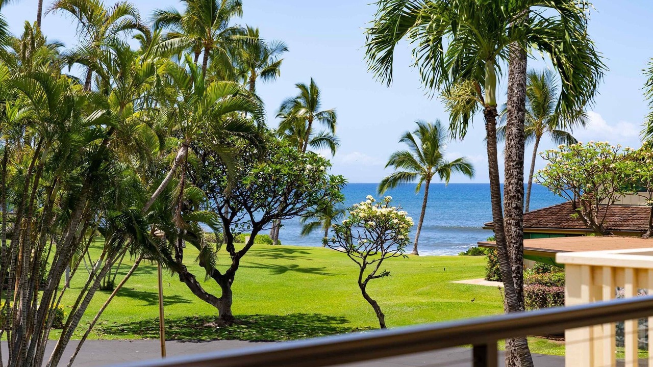 Photo of Outdoor in Downtown Lahaina