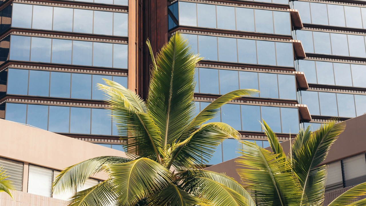 Photo of Outdoor in Downtown Honolulu