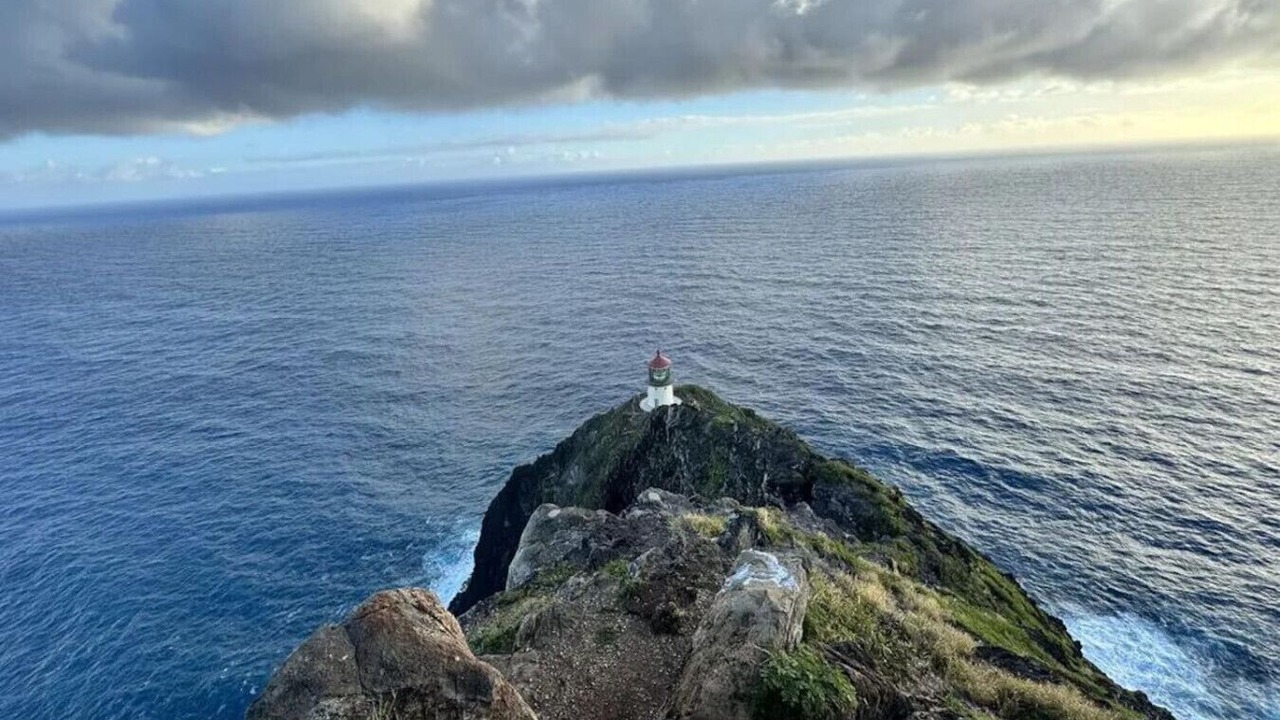 Photo of Others in Waikiki