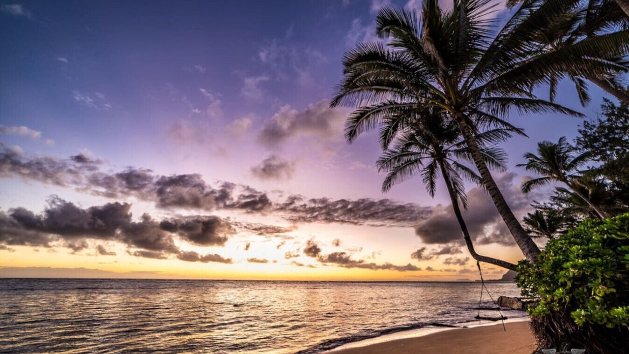 Photo of Others in Waikiki