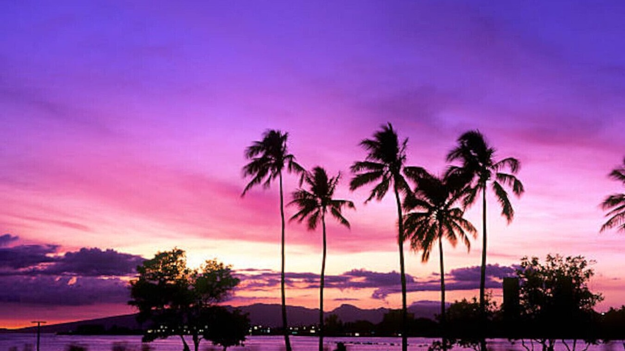 Photo of Others in Waikiki