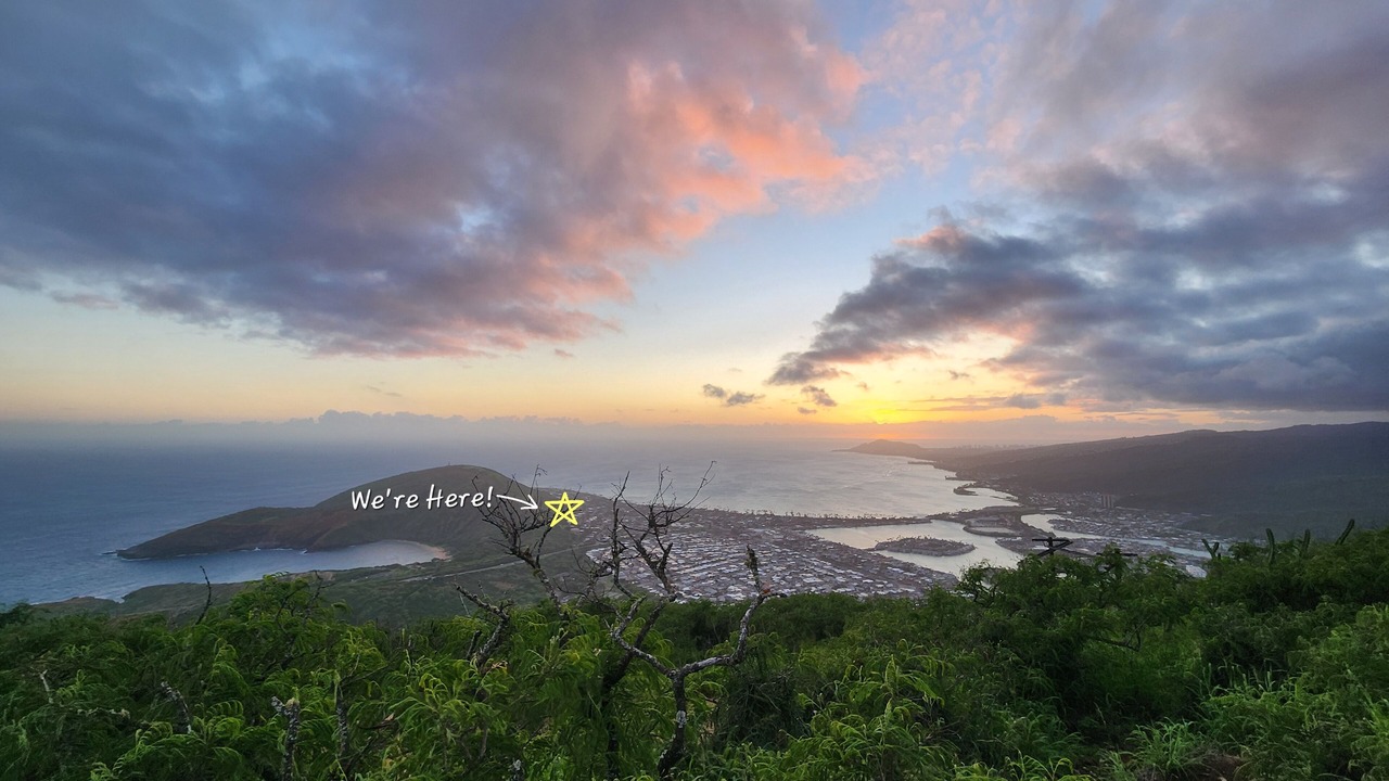Photo of Others in Portlock