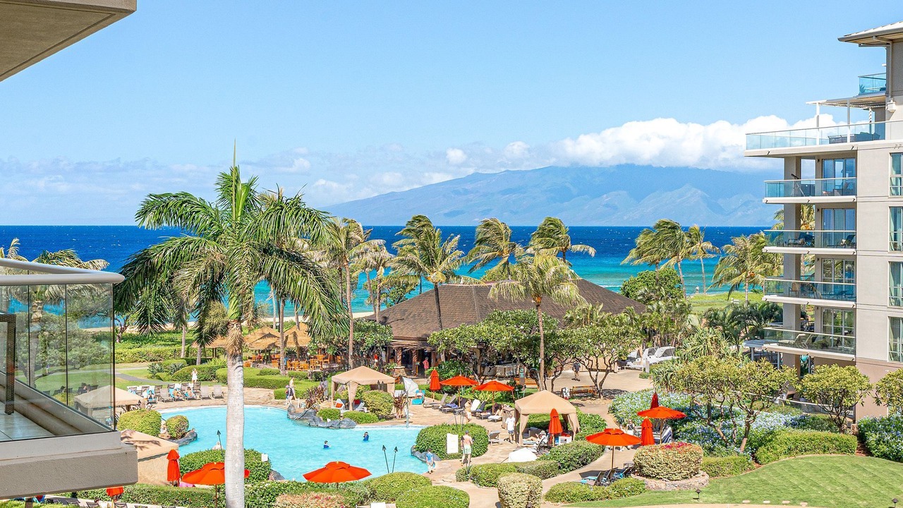 Photo of Others in Lahaina