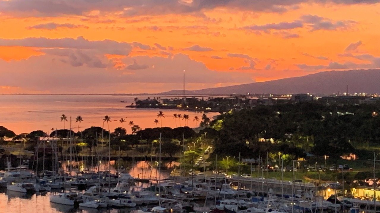 Photo of Others in Ala Moana