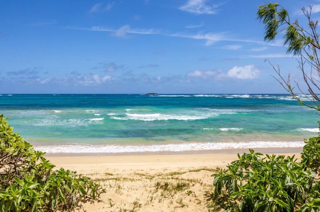 Photo of Others in Laie