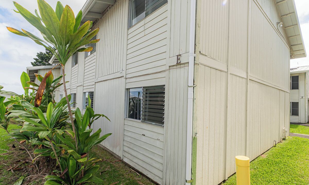 Photo of Outdoor in Hilo