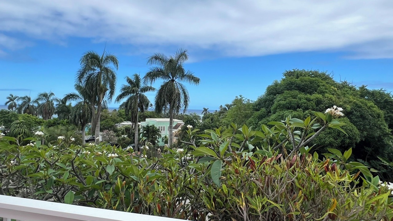 Photo of Outdoor in Ka'a'awa