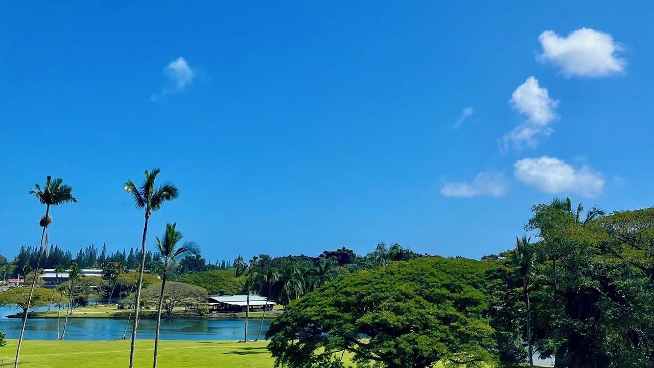 Photo of Others in Hilo