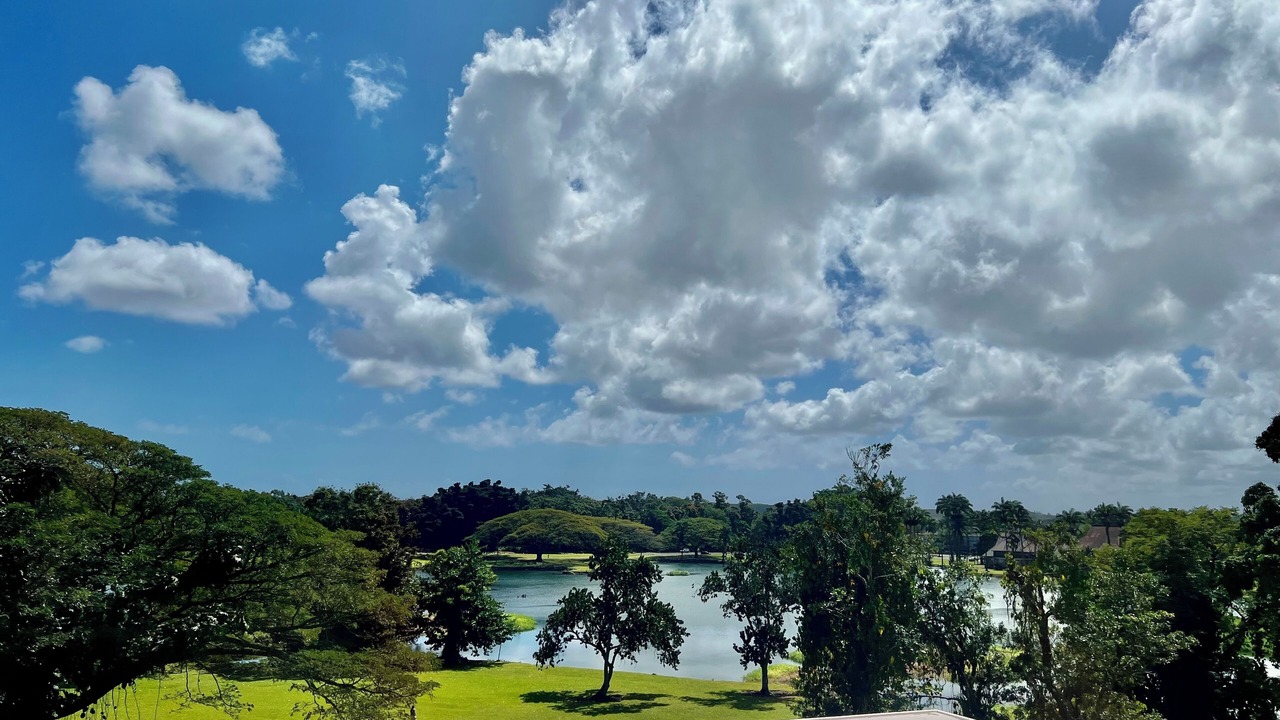 Photo of Outdoor in Hilo