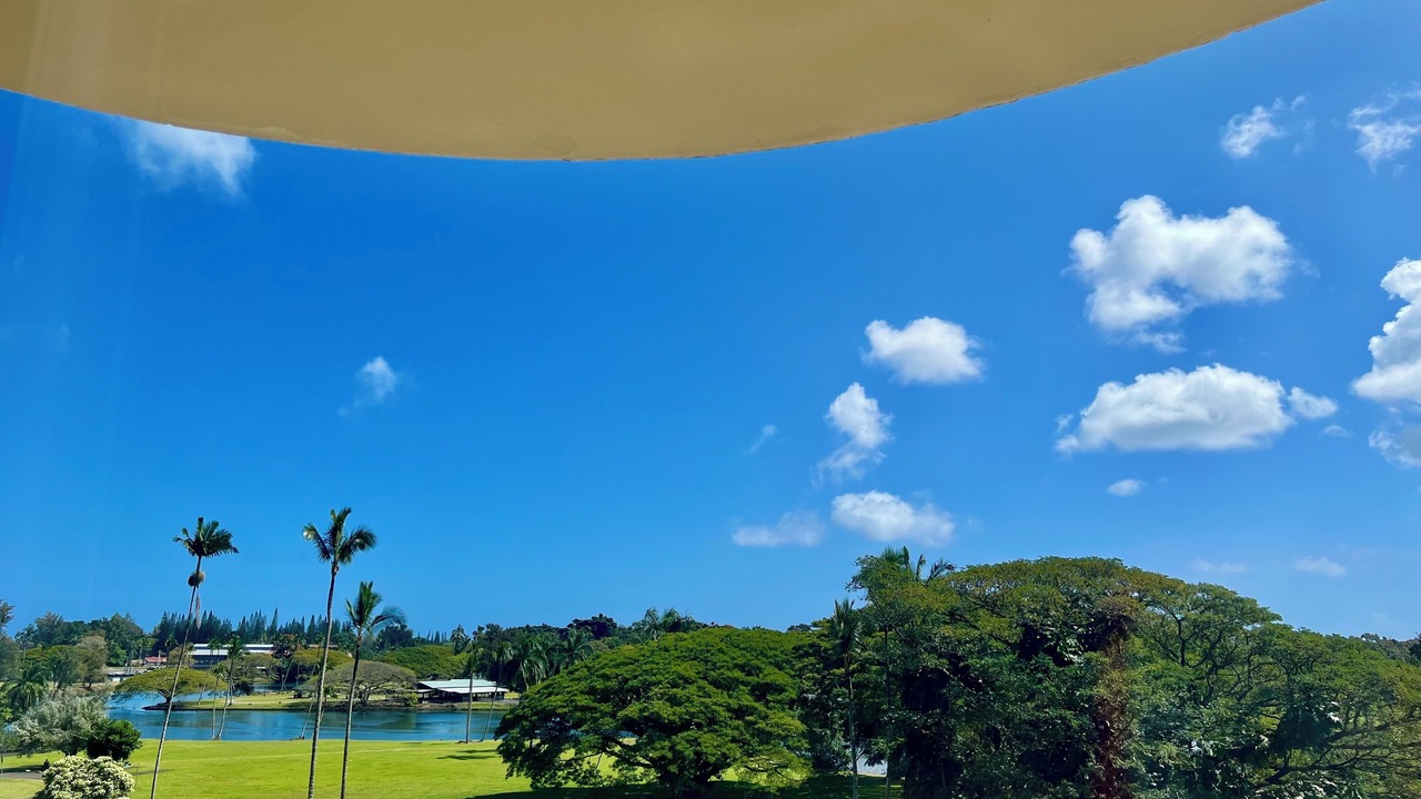 Photo of Outdoor in Hilo