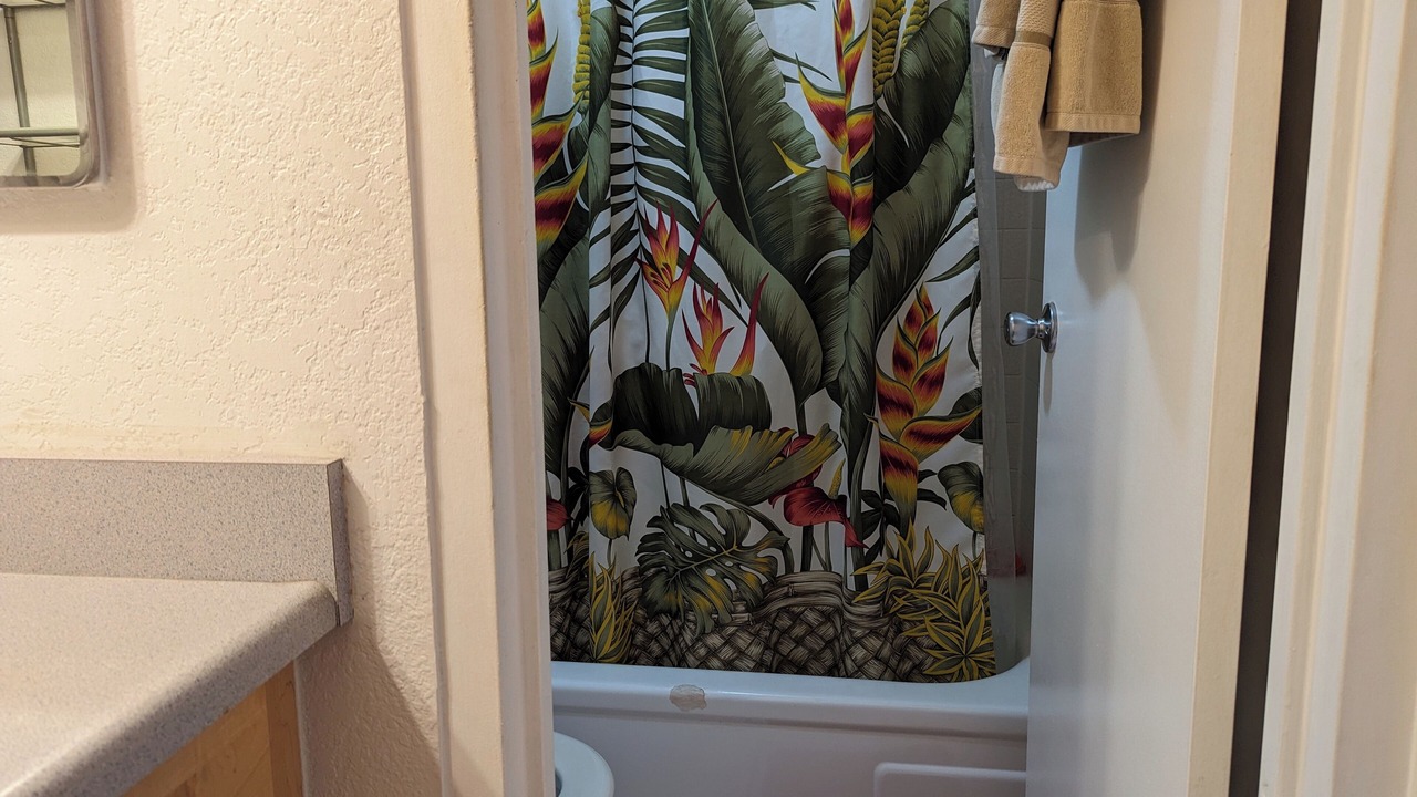 Photo of Bathroom in Waikiki