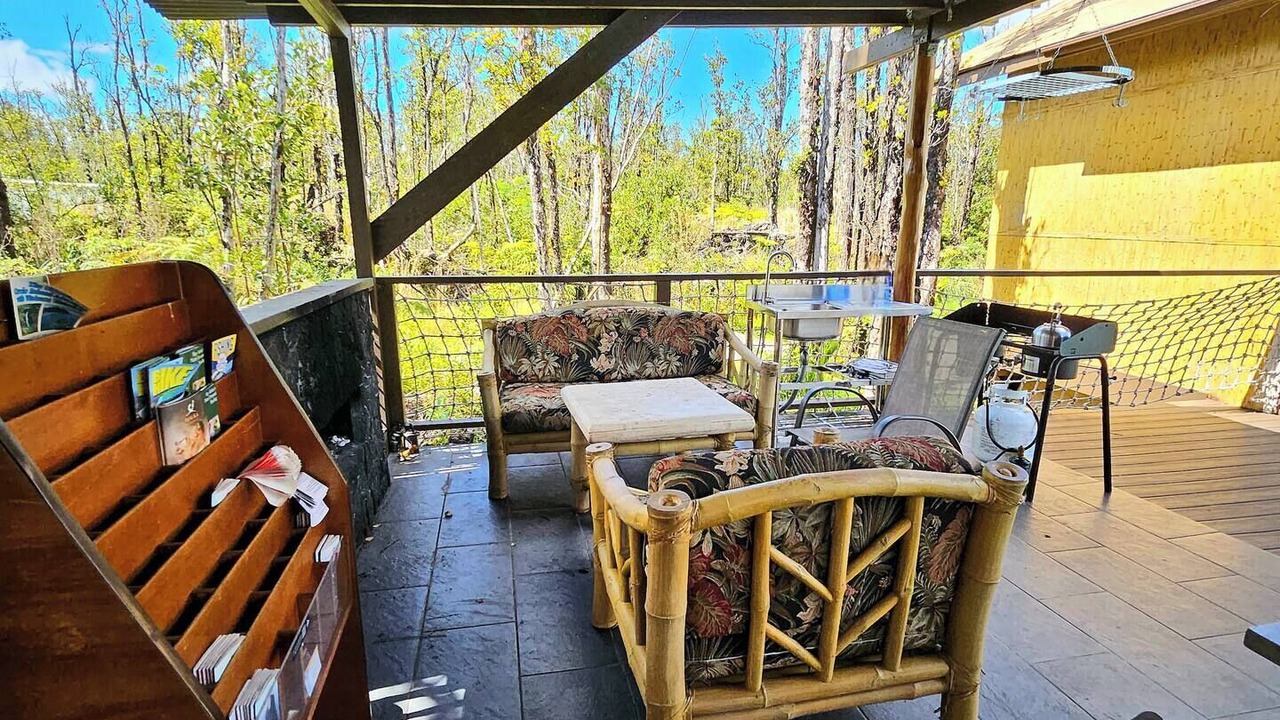 Photo of Outdoor in Fern Forest