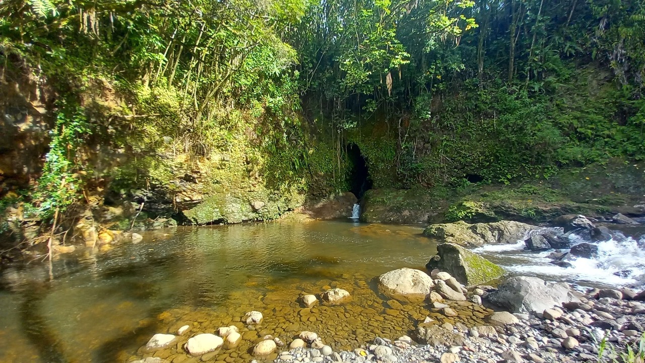 Photo of Others in Ninole
