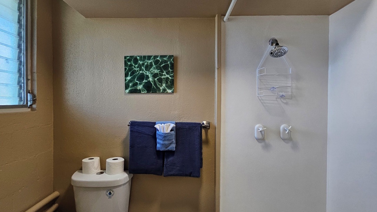 Photo of Bathroom in Keaukaha
