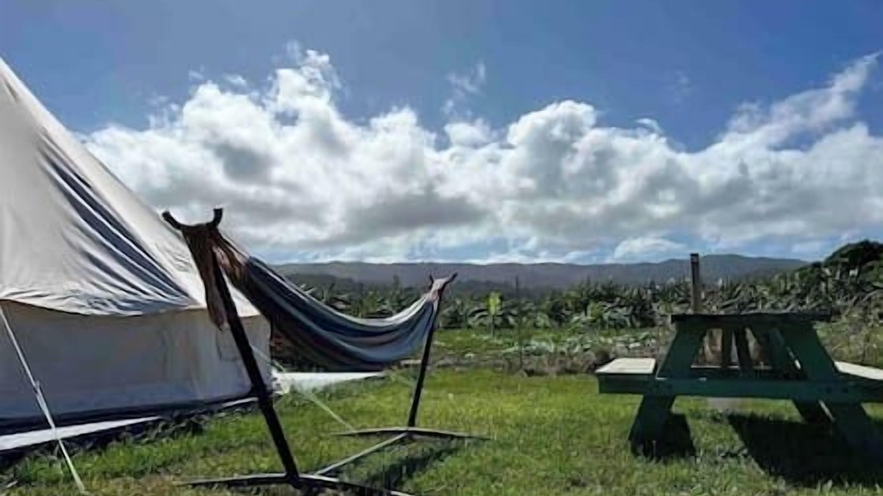 Photo of Outdoor in Laie