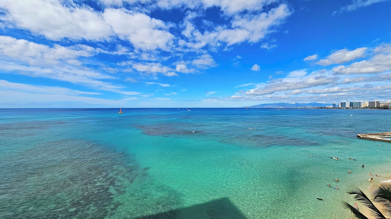 Photo of Others in Diamond Head - Kapahulu - St. Louis