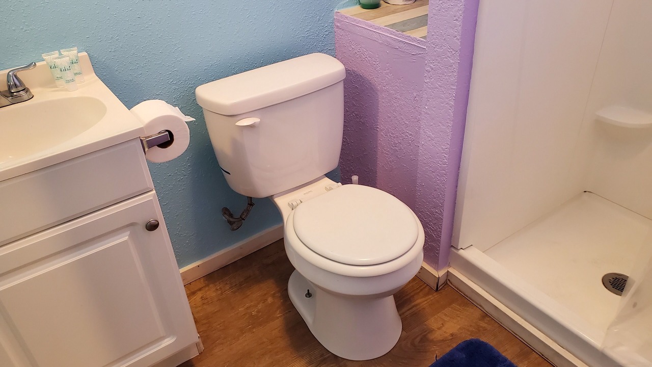 Photo of Bathroom in Wailuku