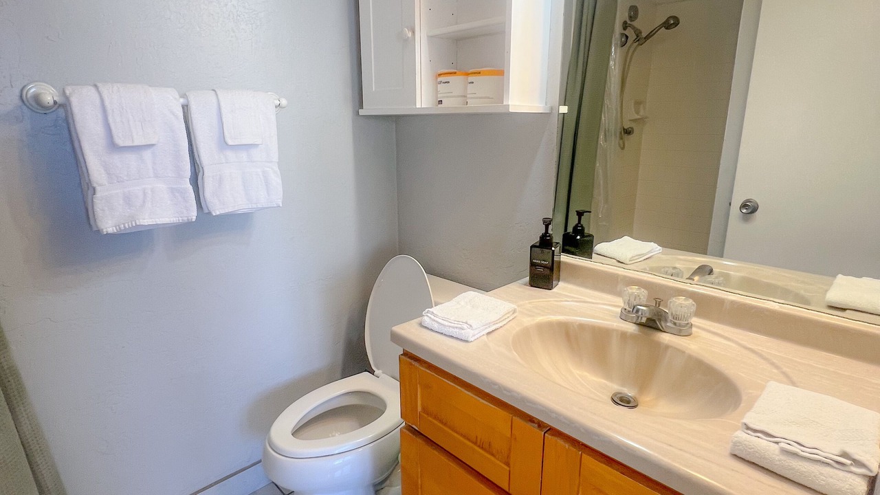 Photo of Bathroom in Waikiki