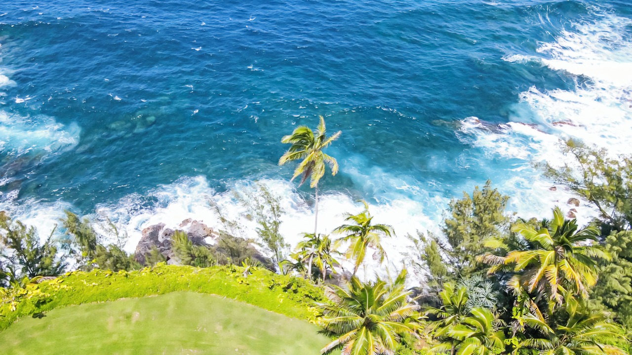 Photo of Outdoor in Hakalau