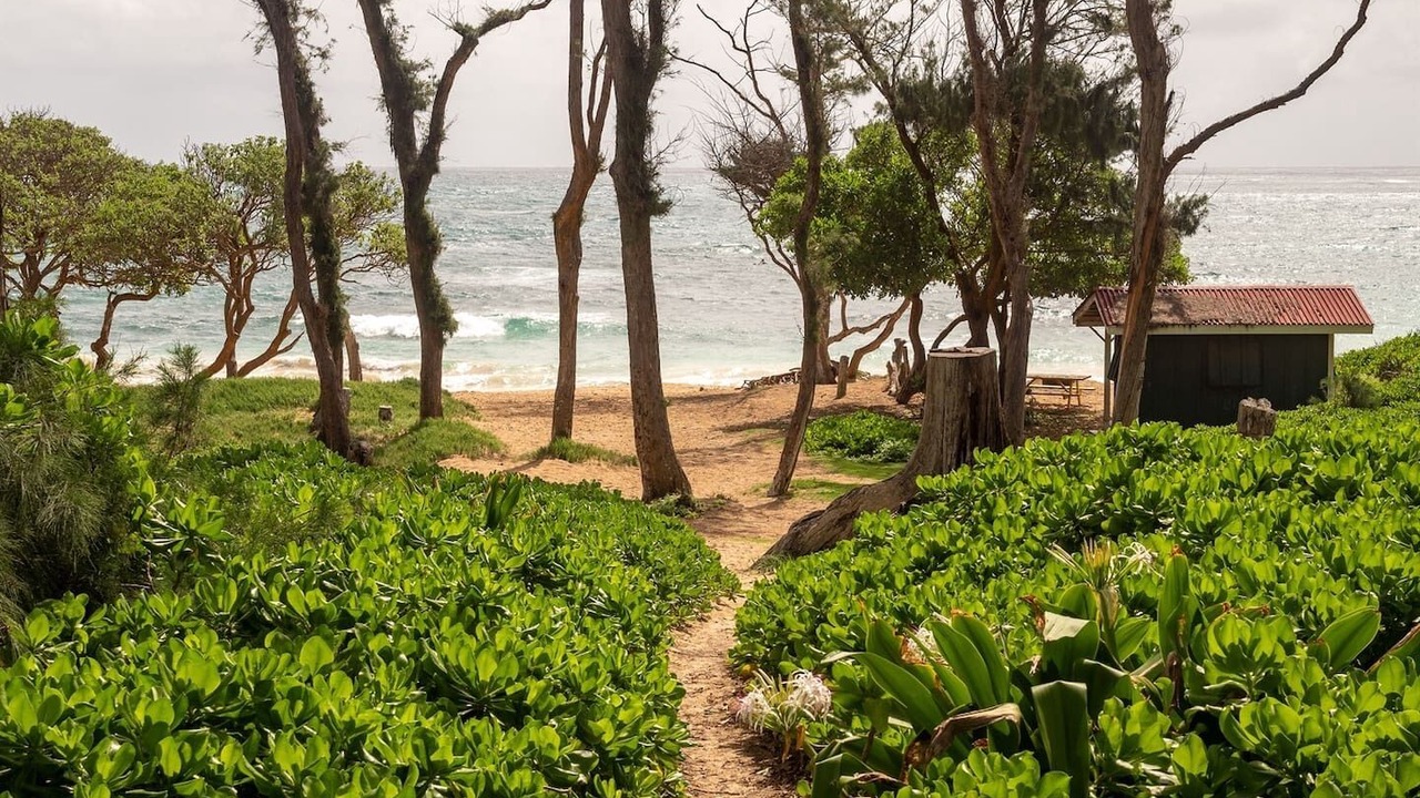 Photo of Others in Laie
