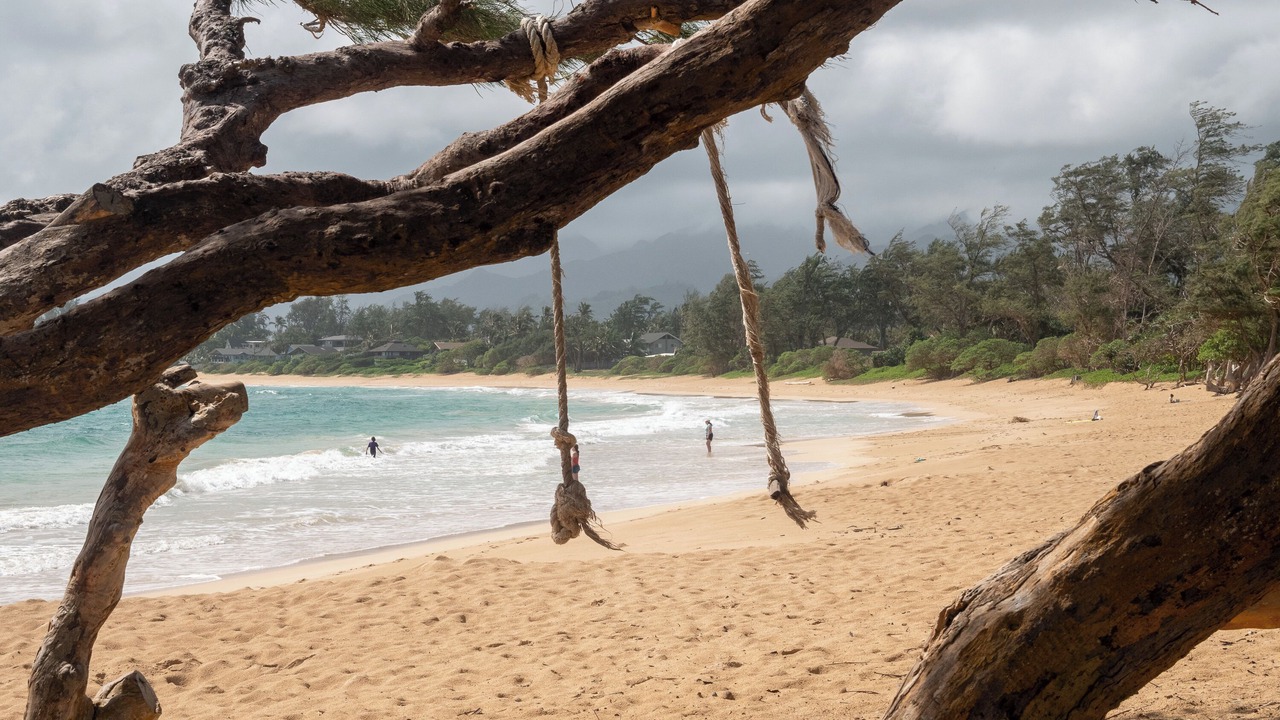 Photo of Others in Laie