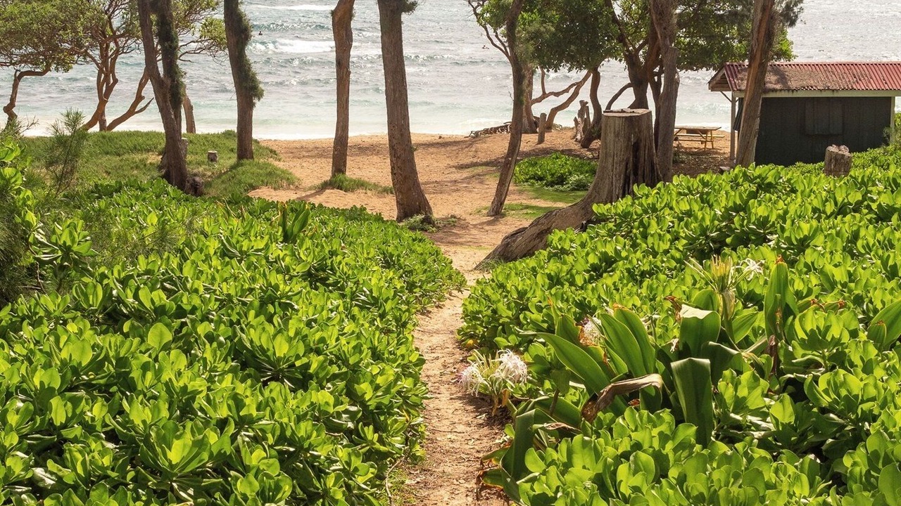 Photo of Others in Laie