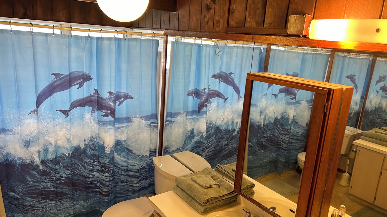 Photo of Bathroom in Kapoho