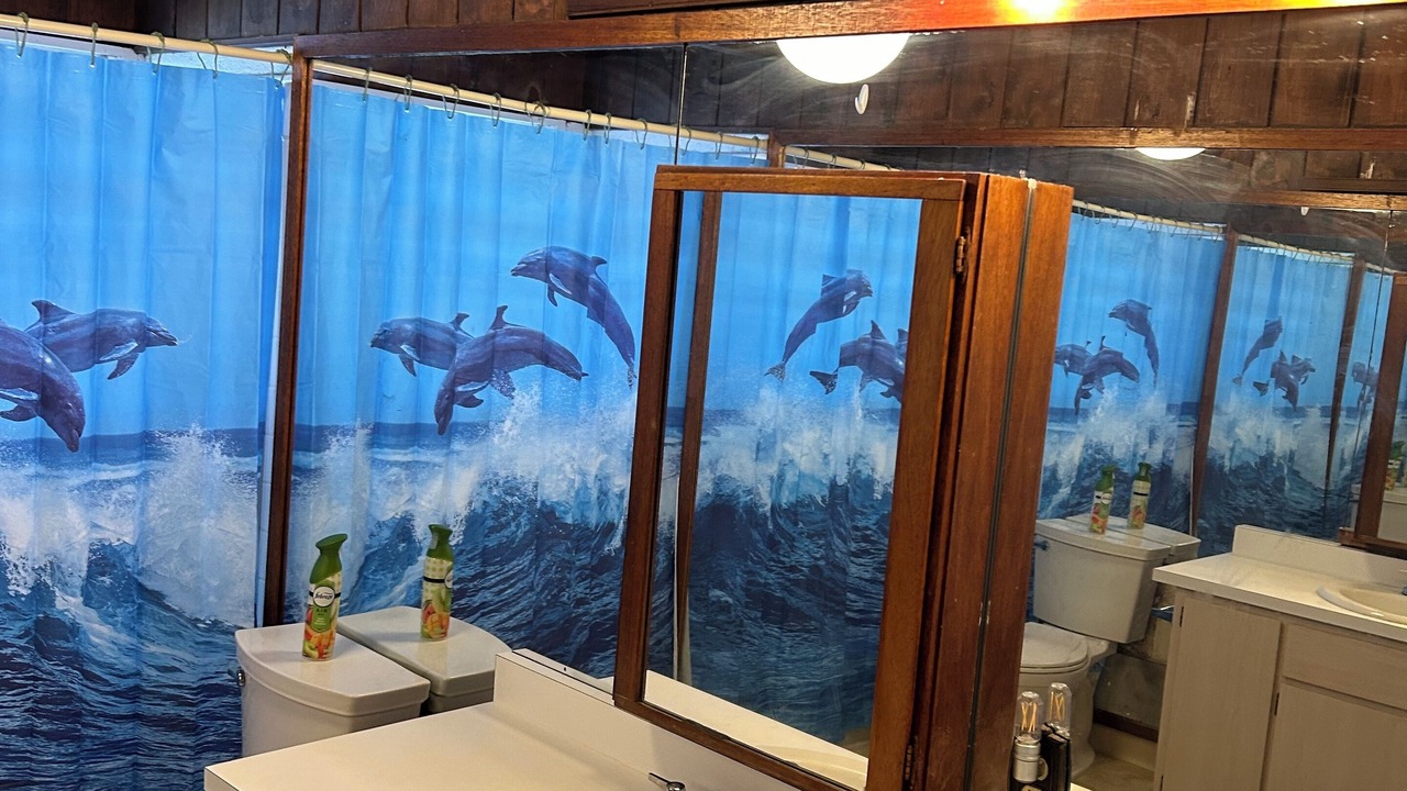 Photo of Bathroom in Kapoho