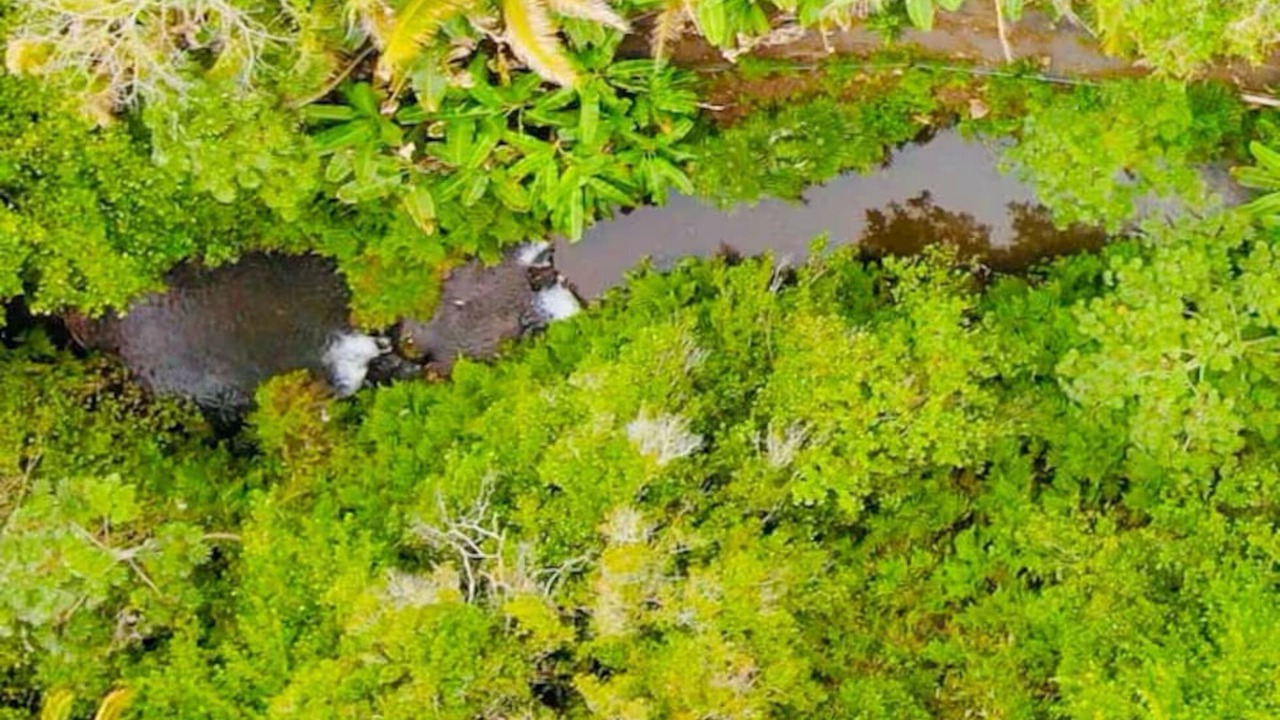 Photo of Others in Hakalau