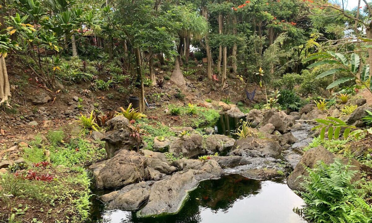 Photo of Others in Kukuihaele