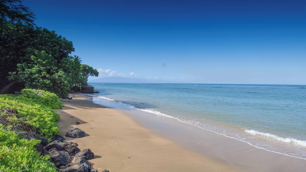 Photo of Others in Kahana