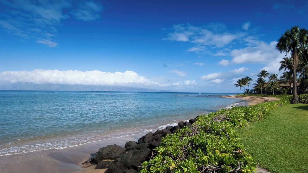 Photo of Others in Kahana