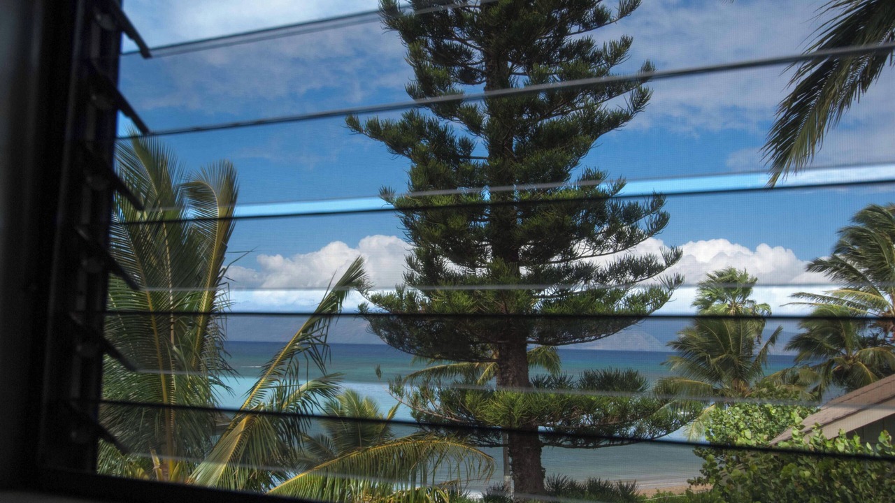 Photo of Others in Kahana