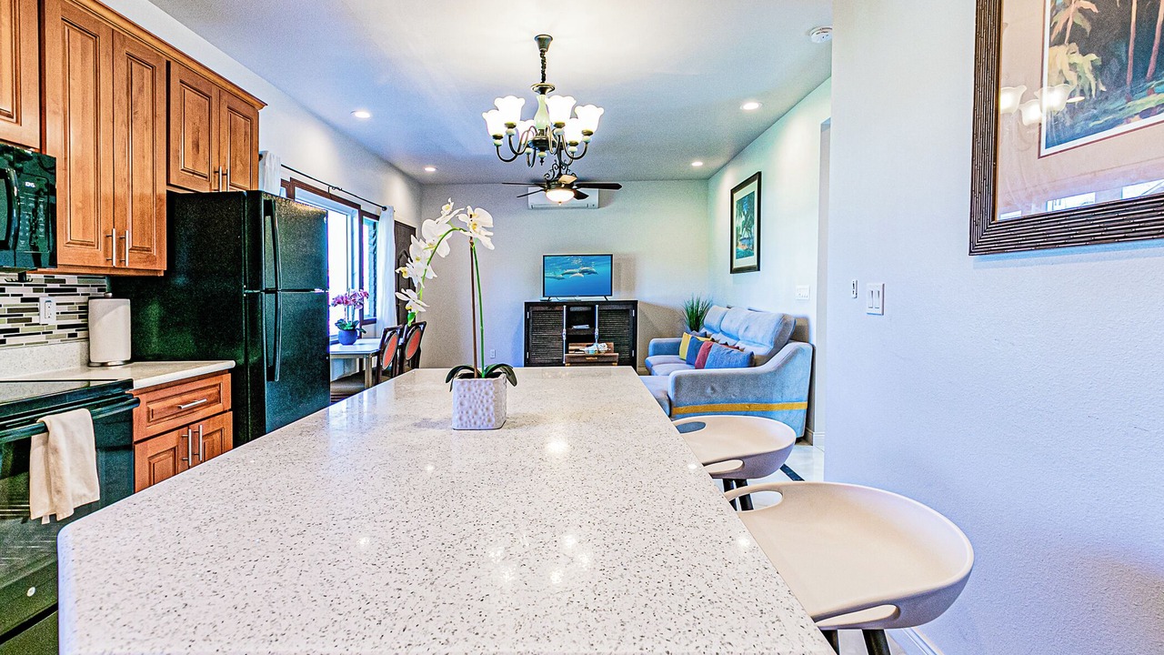 Photo of Kitchen in Hilo