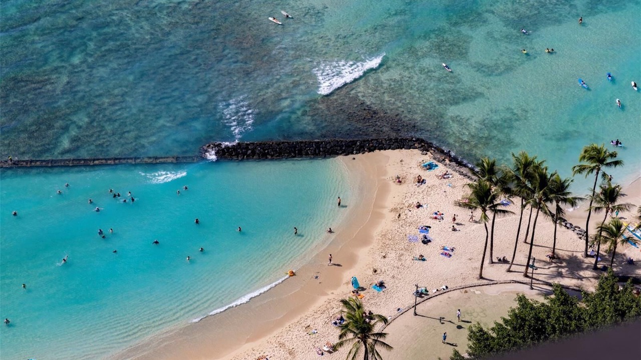 Photo of Others in Honolulu