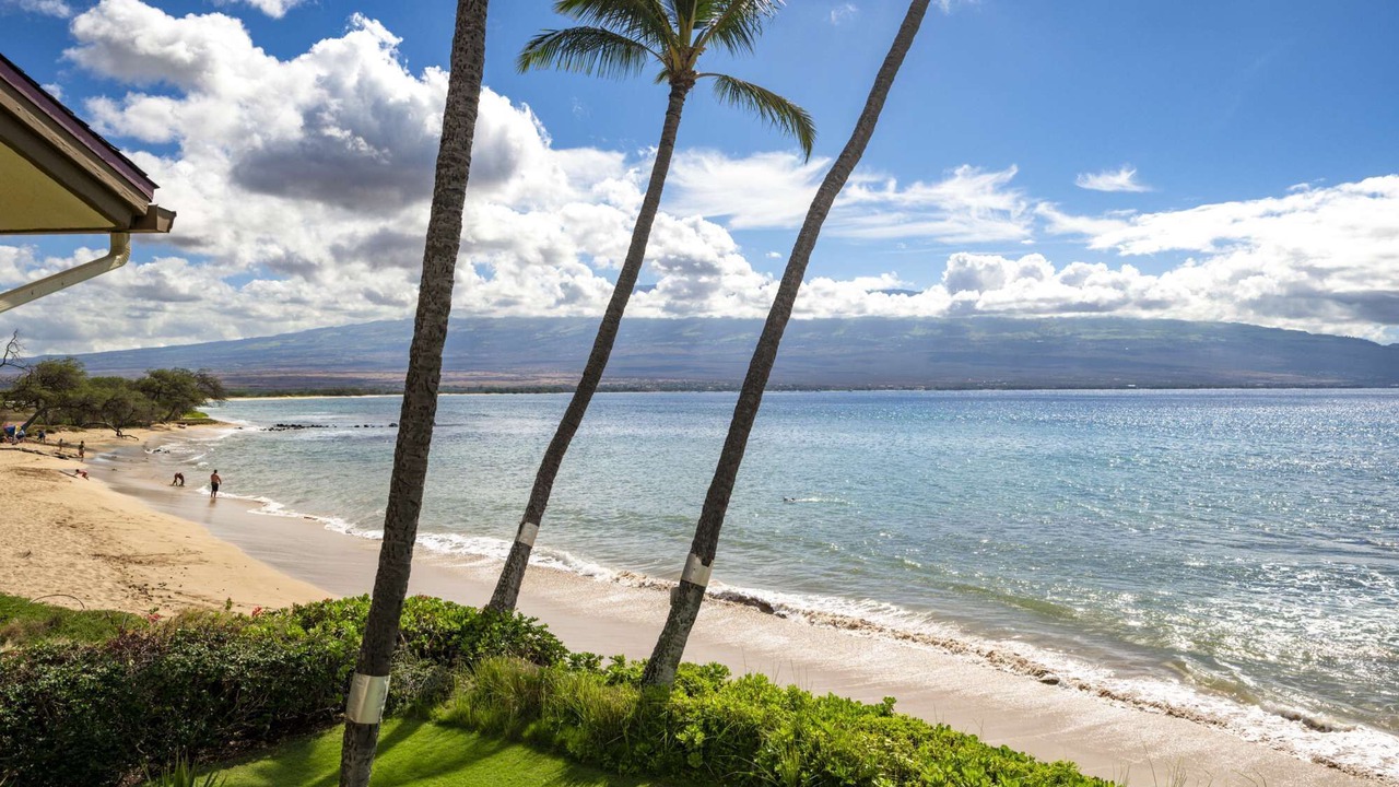 Photo of Others in Maalaea