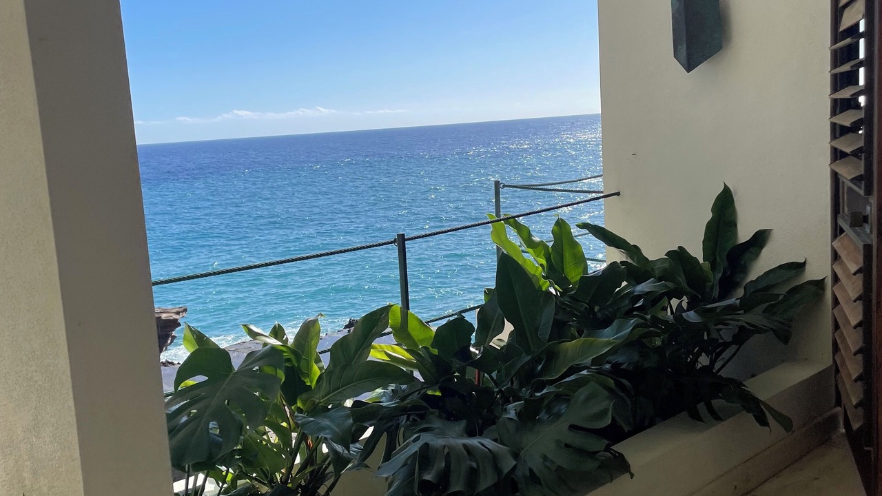 Photo of Outdoor in Honolulu